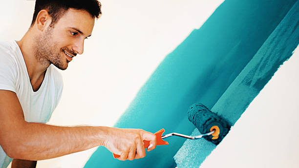 Best Repainting for Renovations  in Lake St Croix Beach, MN